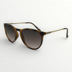 Sunglasses with brown frame and gradient lenses on a white background